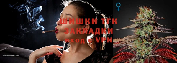 прущие грибы Бородино