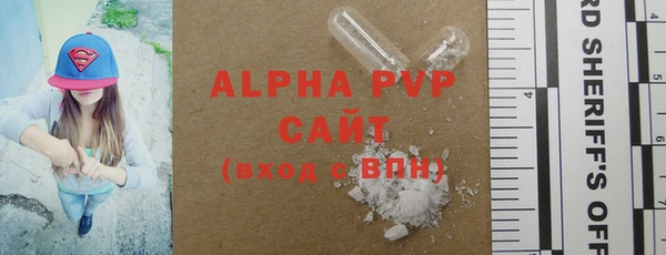 прущие грибы Бородино