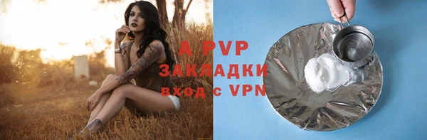 СК Магас