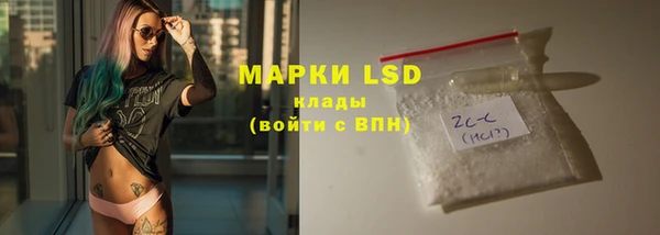 прущие грибы Бородино