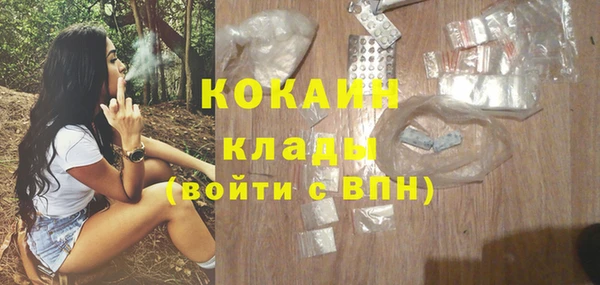 прущие грибы Бородино