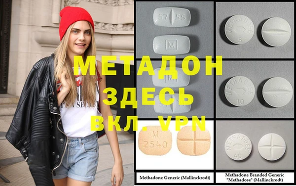 прущие грибы Бородино
