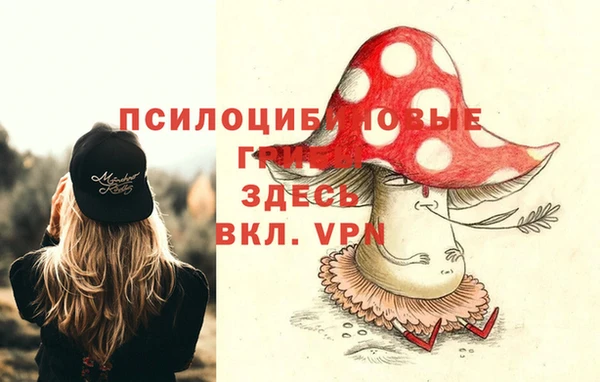 винт Бронницы