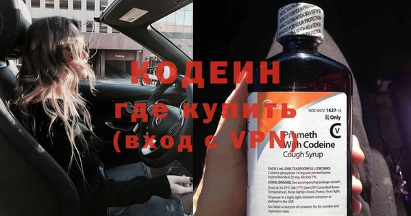 прущие грибы Бородино