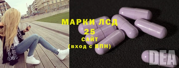 винт Верея