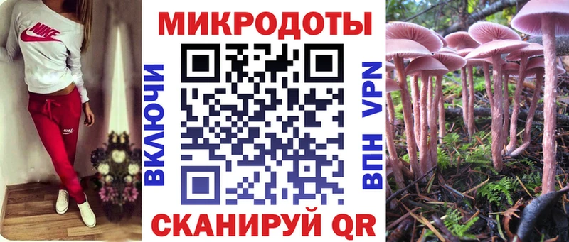 кракен ссылки  Кимовск  Галлюциногенные грибы мицелий 