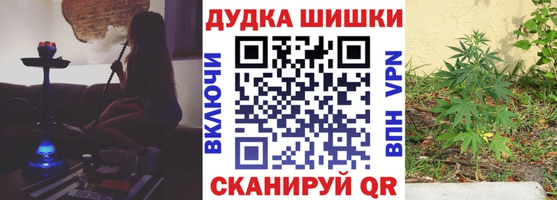закладки  Кимовск  OMG как войти  Бошки марихуана конопля 